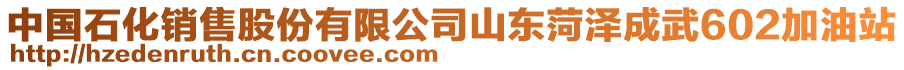 中國石化銷售股份有限公司山東菏澤成武602加油站