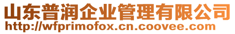 山東普潤(rùn)企業(yè)管理有限公司