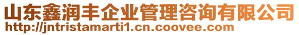 山東鑫潤(rùn)豐企業(yè)管理咨詢有限公司