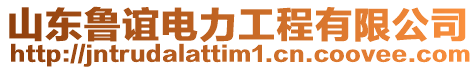 山東魯誼電力工程有限公司