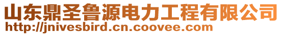 山东鼎圣鲁源电力工程有限公司