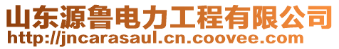 山東源魯電力工程有限公司