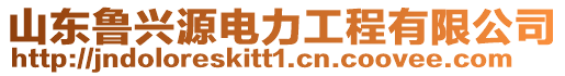 山東魯興源電力工程有限公司