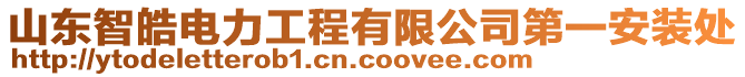 山東智皓電力工程有限公司第一安裝處