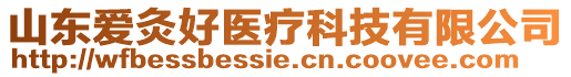 山東愛灸好醫(yī)療科技有限公司