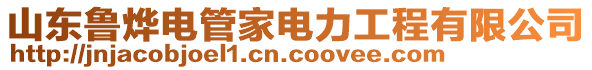 山東魯燁電管家電力工程有限公司