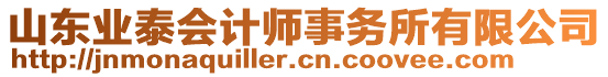 山东业泰会计师事务所有限公司