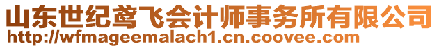 山東世紀鳶飛會計師事務(wù)所有限公司