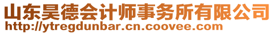 山東昊德會計師事務所有限公司