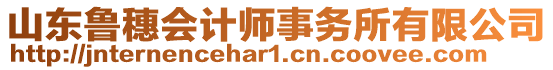 山東魯穗會計師事務(wù)所有限公司