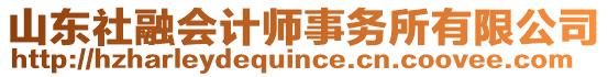 山東社融會計師事務(wù)所有限公司