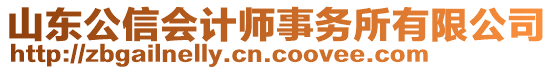 山東公信會計師事務(wù)所有限公司