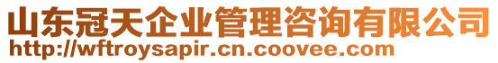 山東冠天企業(yè)管理咨詢有限公司