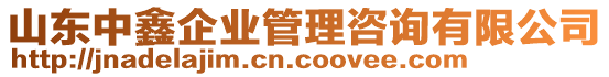 山東中鑫企業(yè)管理咨詢有限公司