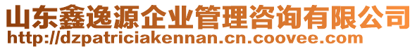 山東鑫逸源企業(yè)管理咨詢有限公司