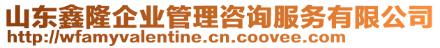 山東鑫隆企業(yè)管理咨詢服務(wù)有限公司