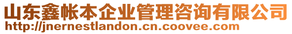 山東鑫帳本企業(yè)管理咨詢有限公司