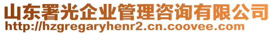 山東署光企業(yè)管理咨詢有限公司