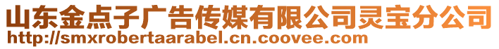 山东金点子广告传媒有限公司灵宝分公司