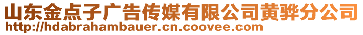 山東金點子廣告?zhèn)髅接邢薰军S驊分公司