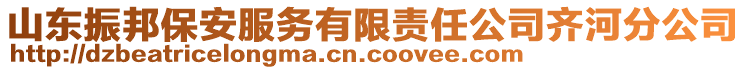 山東振邦保安服務(wù)有限責(zé)任公司齊河分公司