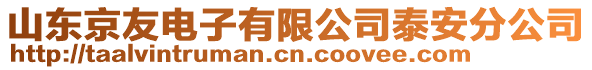 山東京友電子有限公司泰安分公司