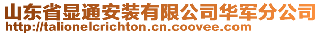 山東省顯通安裝有限公司華軍分公司