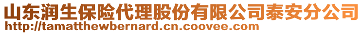 山東潤生保險代理股份有限公司泰安分公司