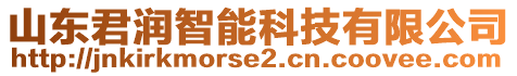 山東君潤智能科技有限公司