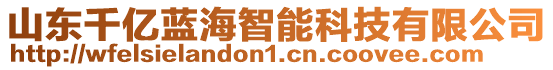 山東千億藍(lán)海智能科技有限公司