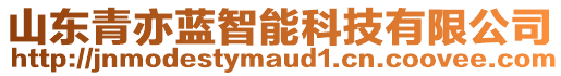 山東青亦藍(lán)智能科技有限公司