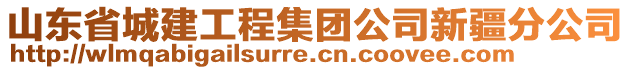 山東省城建工程集團(tuán)公司新疆分公司