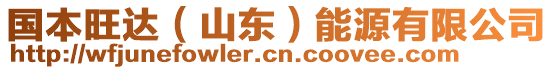 國(guó)本旺達(dá)（山東）能源有限公司