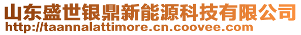 山東盛世銀鼎新能源科技有限公司