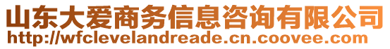 山東大愛商務(wù)信息咨詢有限公司