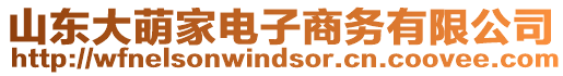 山東大萌家電子商務有限公司