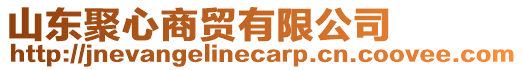 山東聚心商貿(mào)有限公司