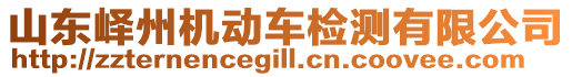 山東嶧州機(jī)動(dòng)車(chē)檢測(cè)有限公司