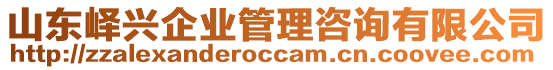 山東嶧興企業(yè)管理咨詢有限公司