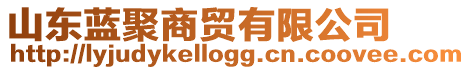 山東藍(lán)聚商貿(mào)有限公司