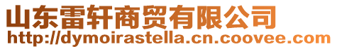 山東雷軒商貿有限公司