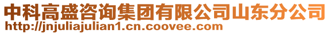 中科高盛咨詢集團有限公司山東分公司