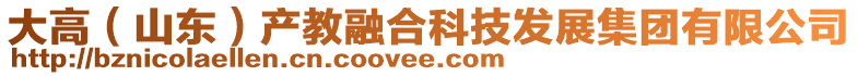 大高(山東)產(chǎn)教融合科技發(fā)展集團(tuán)有限公司