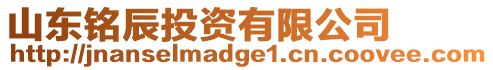 山東銘辰投資有限公司