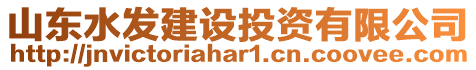 山東水發(fā)建設(shè)投資有限公司