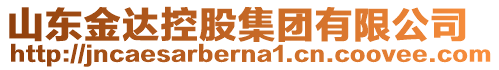 山東金達控股集團有限公司