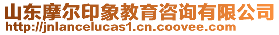 山東摩爾印象教育咨詢有限公司