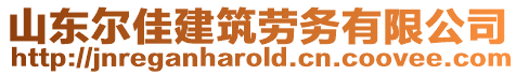 山東爾佳建筑勞務(wù)有限公司