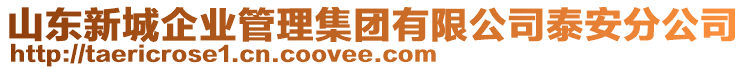 山東新城企業(yè)管理集團(tuán)有限公司泰安分公司