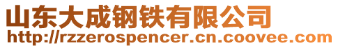 山東大成鋼鐵有限公司